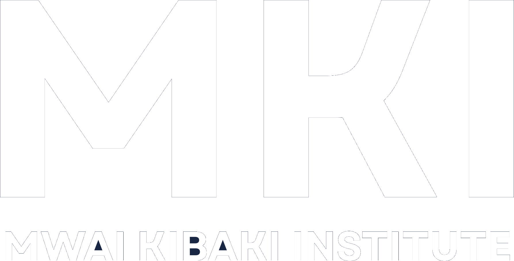 Mwai Kibaki Institute